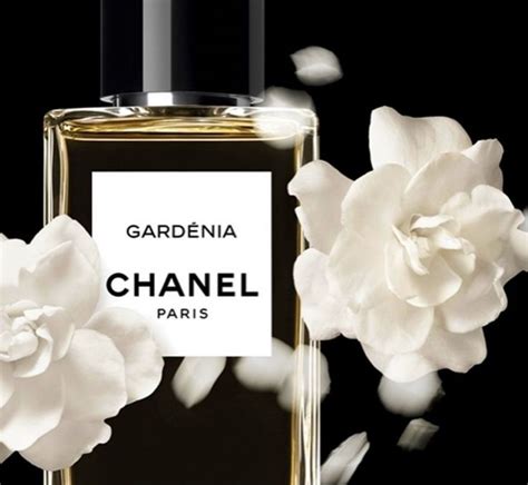 parfum gardenia chanel|chanel gardenia perfume for women.